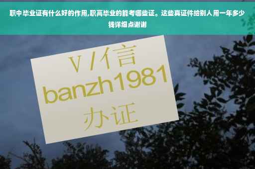 职中毕业证有什么好的作用,职高毕业的能考哪些证。这些真证件给别人用一年多少钱详细点谢谢