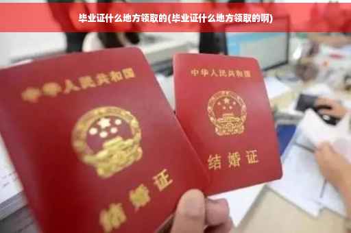 毕业证什么地方领取的(毕业证什么地方领取的啊)