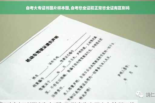 自考大专证书图片样本图,自考毕业证和正常毕业证有区别吗