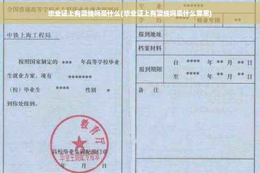 毕业证上有竖线吗是什么(毕业证上有竖线吗是什么意思)