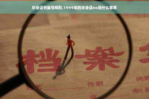 毕业证书编号规则,1999年的毕业证no是什么意思