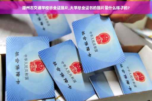 湖州市交通学校毕业证图片,大学毕业证书的图片是什么样子的?