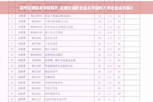 漳州交通技术学校照片,云南交通职业技术学院的大学毕业证书图片