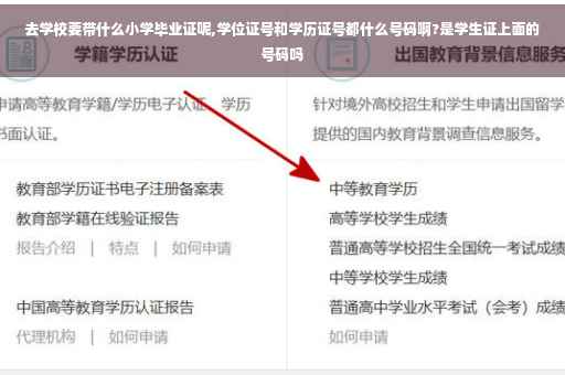 去学校要带什么小学毕业证呢,学位证号和学历证号都什么号码啊?是学生证上面的号码吗