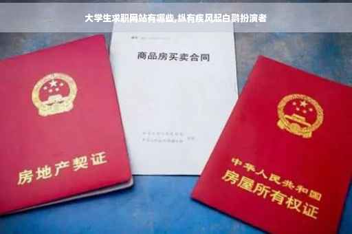 大学生求职网站有哪些,纵有疾风起白鹦扮演者