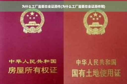为什么工厂需要毕业证原件(为什么工厂需要毕业证原件呢)