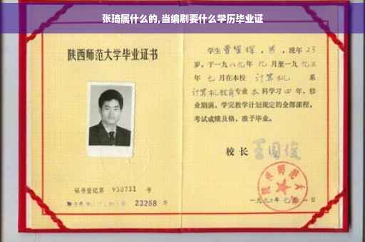 张琦属什么的,当编剧要什么学历毕业证