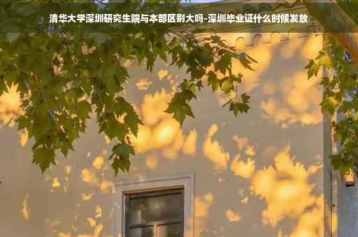 清华大学深圳研究生院与本部区别大吗-深圳毕业证什么时候发放