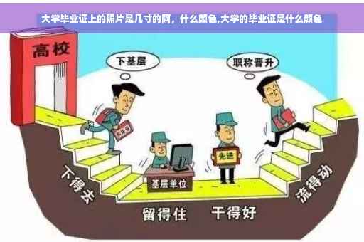 大学毕业证上的照片是几寸的阿，什么颜色,大学的毕业证是什么颜色