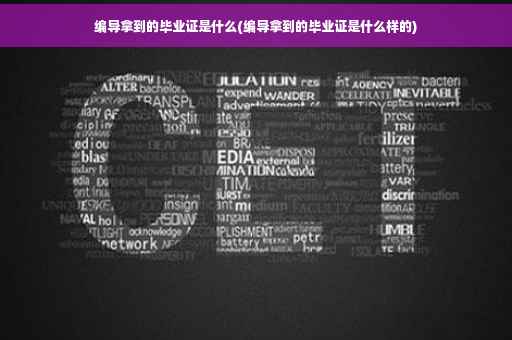 编导拿到的毕业证是什么(编导拿到的毕业证是什么样的)