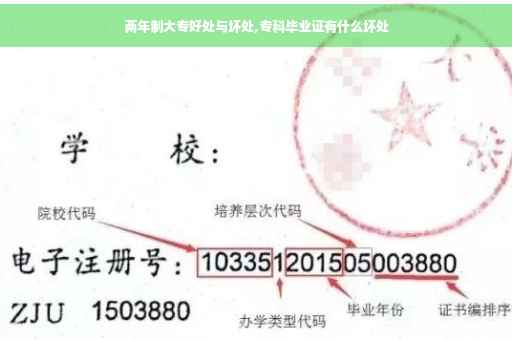 两年制大专好处与坏处,专科毕业证有什么坏处