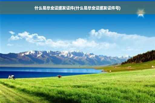 什么是毕业证缓发证件(什么是毕业证缓发证件号)
