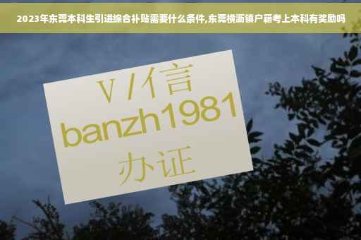 2023年东莞本科生引进综合补贴需要什么条件,东莞横沥镇户籍考上本科有奖励吗
