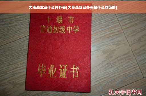 大专毕业证什么样外壳(大专毕业证外壳是什么颜色的)