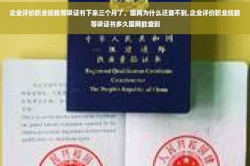 企业评价职业技能等级证书下来三个月了，国网为什么还查不到,企业评价职业技能等级证书多久国网能查到