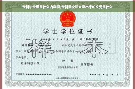 专科毕业证是什么内容啊,专科批次进大学出来的文凭是什么