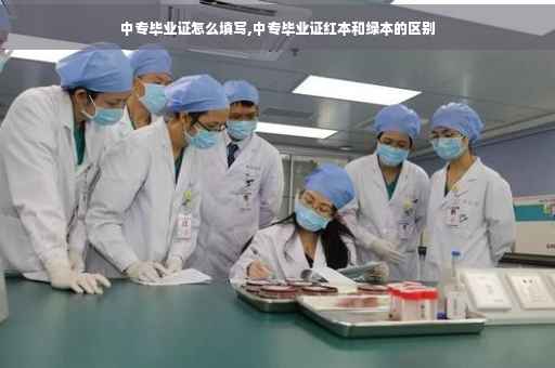 中专毕业证怎么填写,中专毕业证红本和绿本的区别