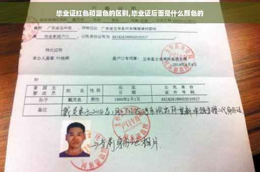 毕业证红色和蓝色的区别,毕业证后面是什么颜色的