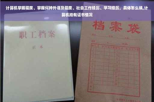 计算机掌握程度、掌握何种外语及程度、社会工作经历、学习经历，具体怎么填,计算机持有证书情况