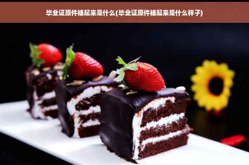 毕业证原件裱起来是什么(毕业证原件裱起来是什么样子)