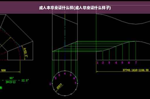 成人本毕业证什么样(成人毕业证什么样子)