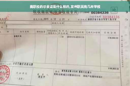 商职校的毕业证是什么样的,宜州职高有几所学校