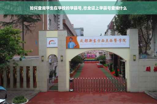 如何查询学生在学校的学籍号,毕业证上学籍号查询什么
