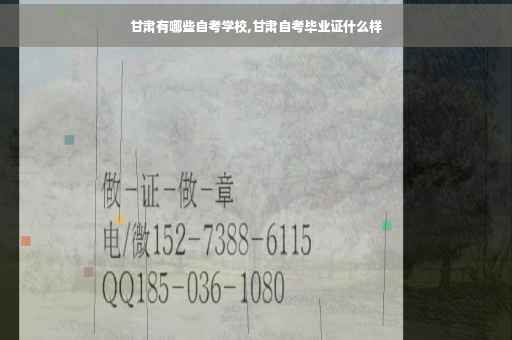 甘肃有哪些自考学校,甘肃自考毕业证什么样