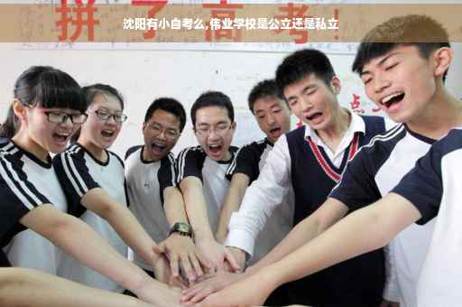 沈阳有小自考么,伟业学校是公立还是私立