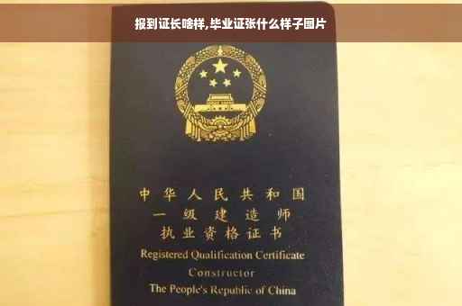 报到证长啥样,毕业证张什么样子图片