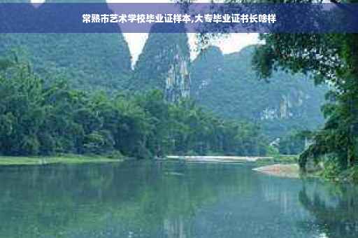 常熟市艺术学校毕业证样本,大专毕业证书长啥样