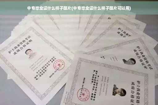 中专毕业证什么样子图片(中专毕业证什么样子图片可以用)