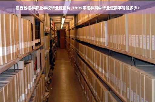陕西省榆林农业学校毕业证图片,1995年榆林高中毕业证第字号是多少?