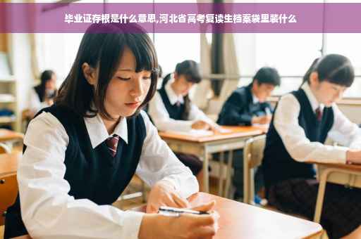 毕业证存根是什么意思,河北省高考复读生档案袋里装什么