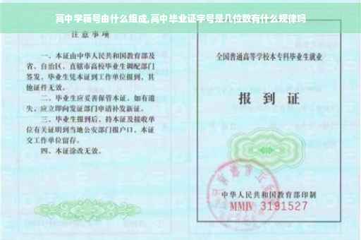 高中学籍号由什么组成,高中毕业证字号是几位数有什么规律吗