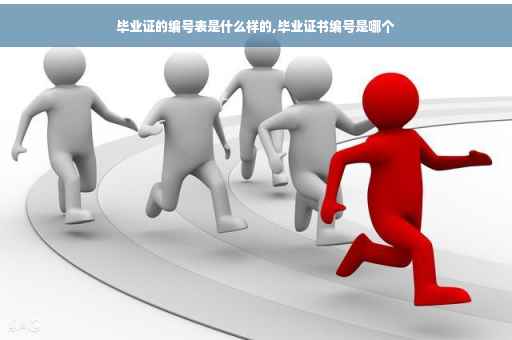 毕业证的编号表是什么样的,毕业证书编号是哪个
