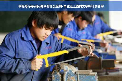 学籍号l开头和g开头有什么区别-毕业证上面的文字叫什么名字
