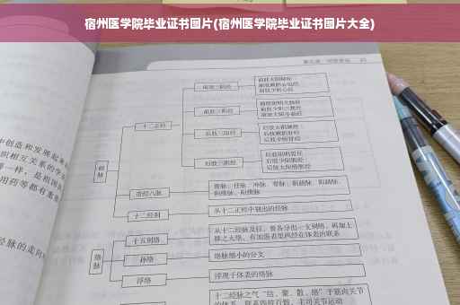 个人银行卡流水过大会怎么样-银行流水频繁金额过大怎么办