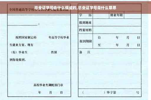 毕业证学号由什么组成的,毕业证学号是什么意思