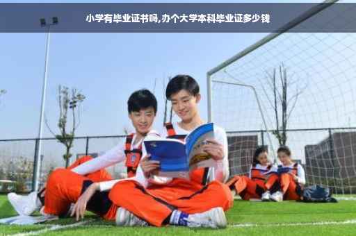 小学有毕业证书吗,办个大学本科毕业证多少钱