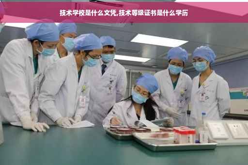 技术学校是什么文凭,技术等级证书是什么学历