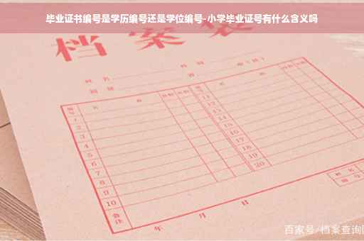 毕业证书编号是学历编号还是学位编号-小学毕业证号有什么含义吗