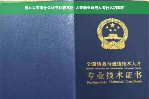 成人大专考什么证书比较实用-大专毕业证成人考什么内容的