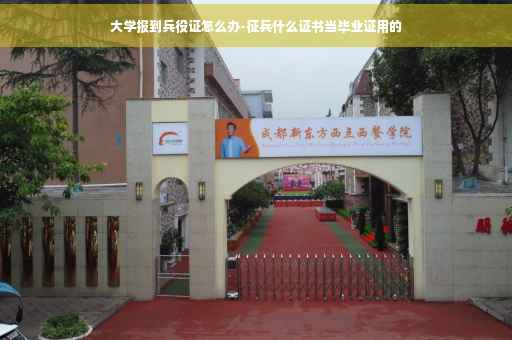 大学报到兵役证怎么办-征兵什么证书当毕业证用的