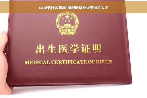 ca证书什么意思-国税局毕业证书图片大全