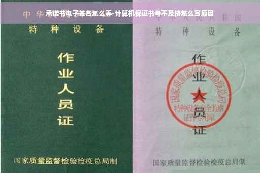 承诺书电子签名怎么弄-计算机保证书考不及格怎么写原因
