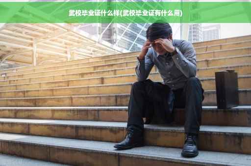 武校毕业证什么样(武校毕业证有什么用)