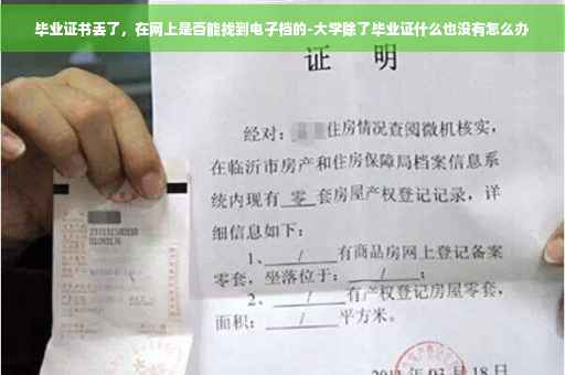 毕业证书丢了，在网上是否能找到电子档的-大学除了毕业证什么也没有怎么办