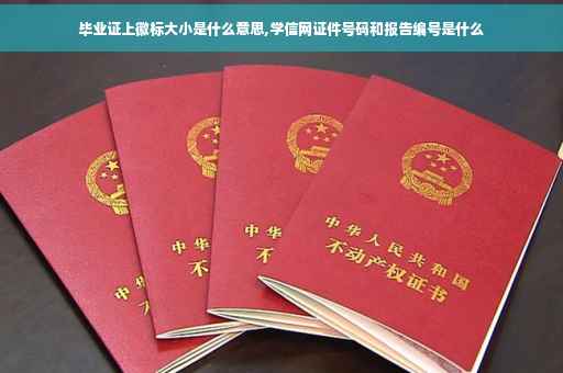 毕业证上徽标大小是什么意思,学信网证件号码和报告编号是什么