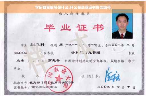 学历备案编号是什么,什么是毕业证书报告编号